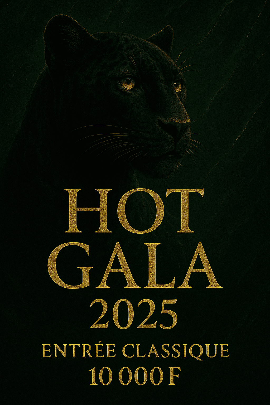 Visuel billet Entrée Classique HOT GALA 10 000 F