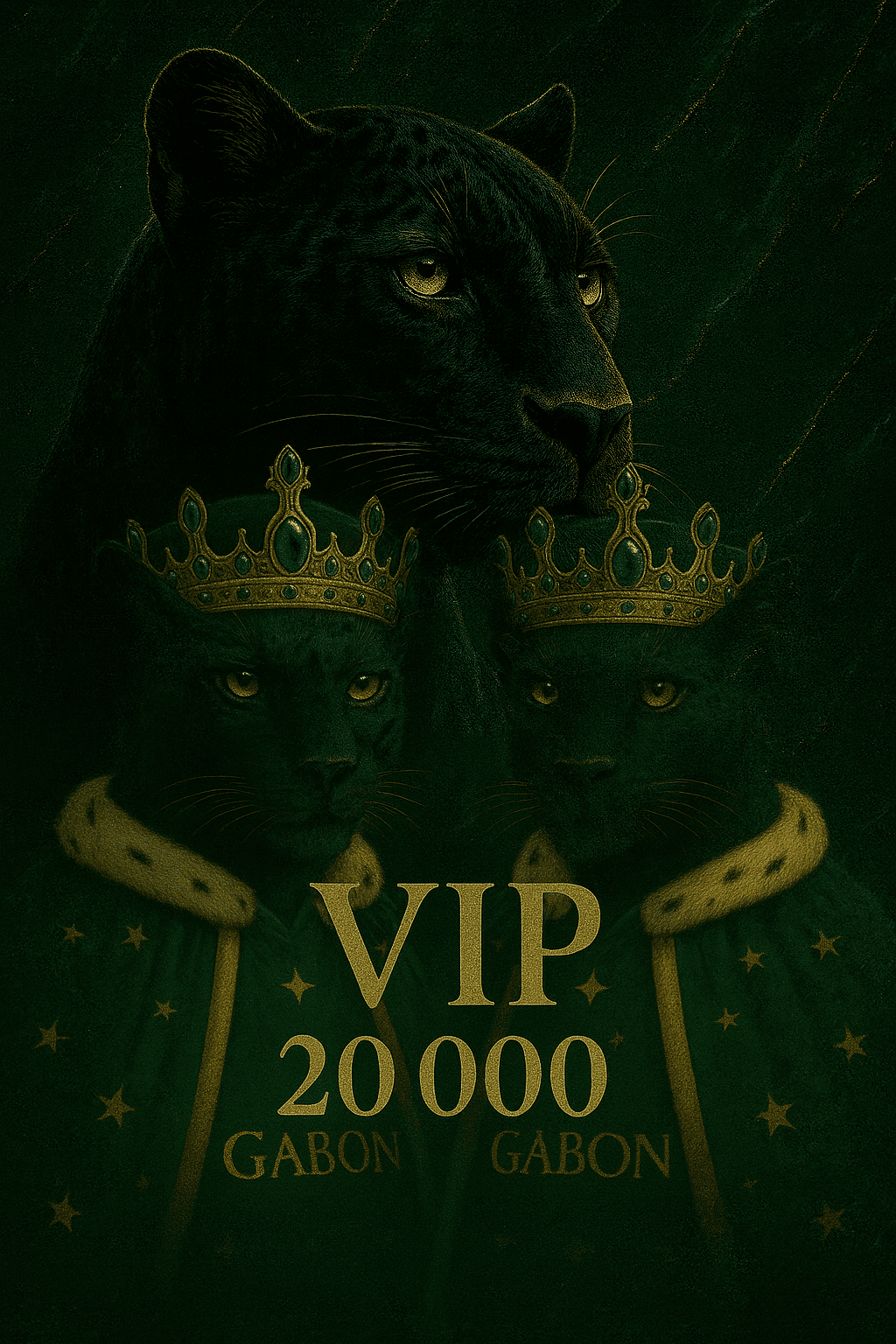 Visuel billet VIP HOT GALA 20 000 F